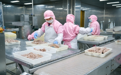 食品蝶变 八个场景见证“八八战略”20年